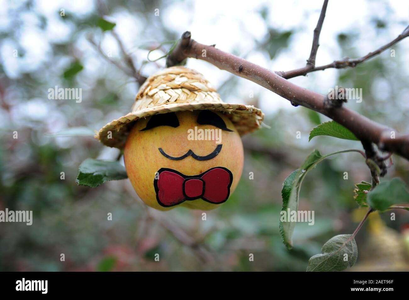 Ein Apple ist mit einem goofy Strohhut und lustiges Gesicht in Peking, China, 2. November 2019 bekleidet. Äpfel auf dem Baum wurden in hübsch Outfit gekleidet und Stockfoto