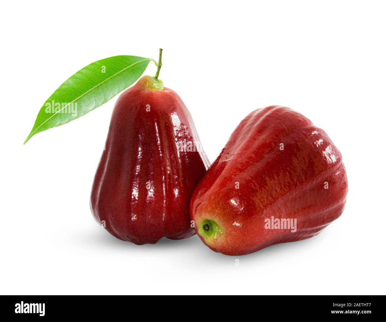 Rose-Äpfel oder Chomphu isoliert auf weißem Hintergrund Stockfoto
