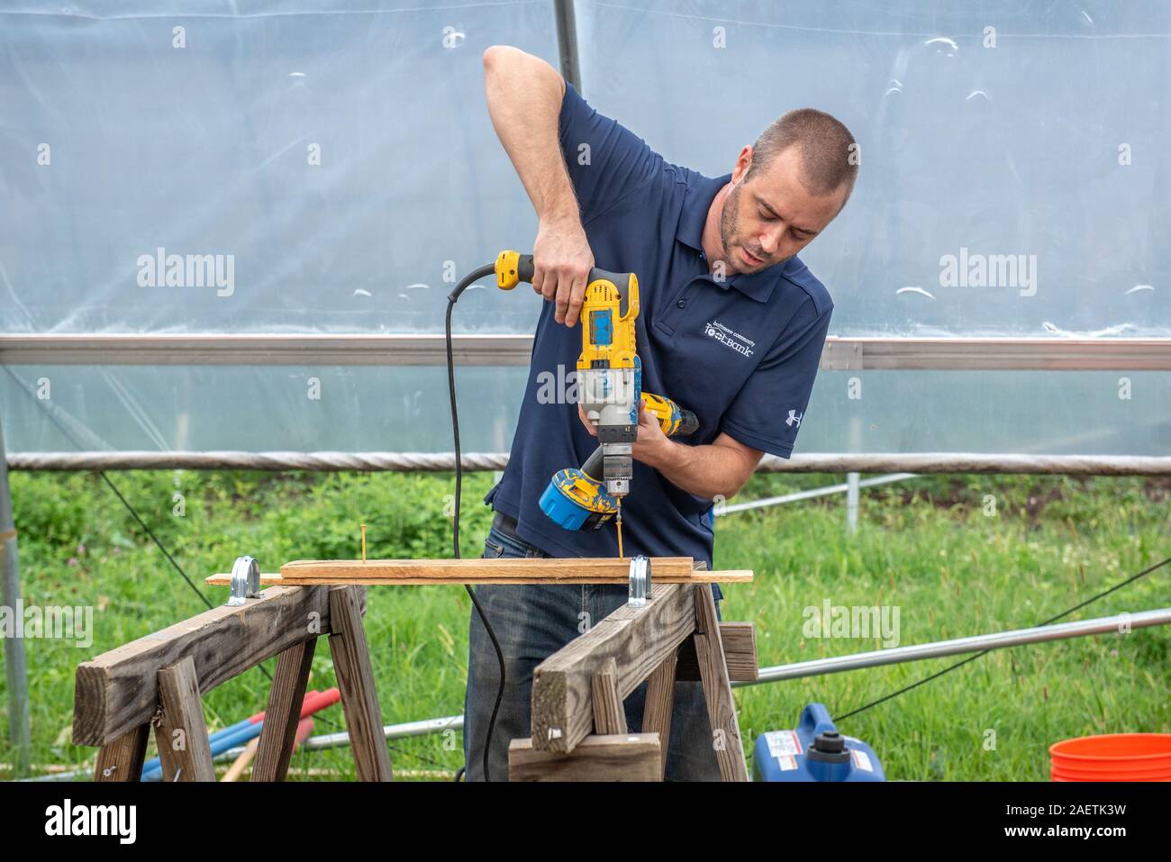 Vorsichtig bohren Schrauben in das Holz mit Hilfe einer Bohrmaschine, Baltimore, Maryland. Stockfoto