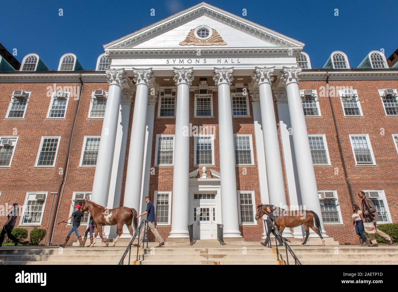 Pferde ging vor symons Hall von der UMD Equestrian Club, College Park, Maryland. Stockfoto