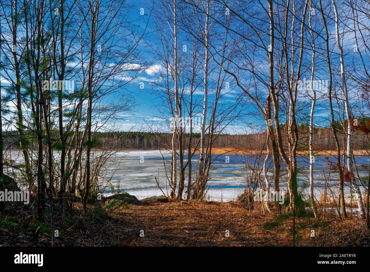 Eis in der Küste an einem sonnigen Frühlingstag schmelzen. Ende des Winters. Stockfoto