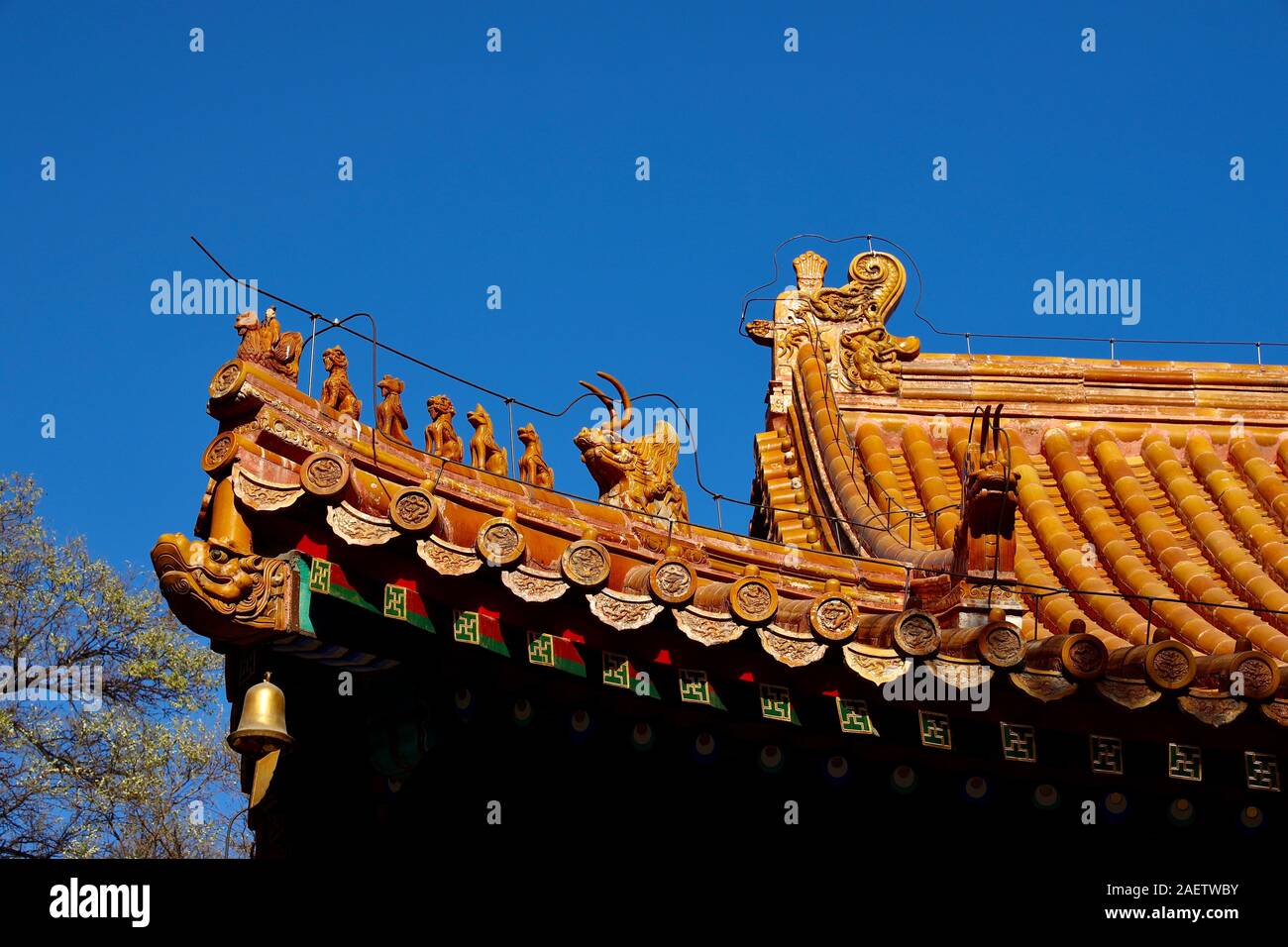 Eine genaue Betrachtung der Statuen stehen auf den Dächern der Paläste der Verbotenen Stadt in Peking, China, 25. November 2019. Wie Statuen, die Mai Stockfoto