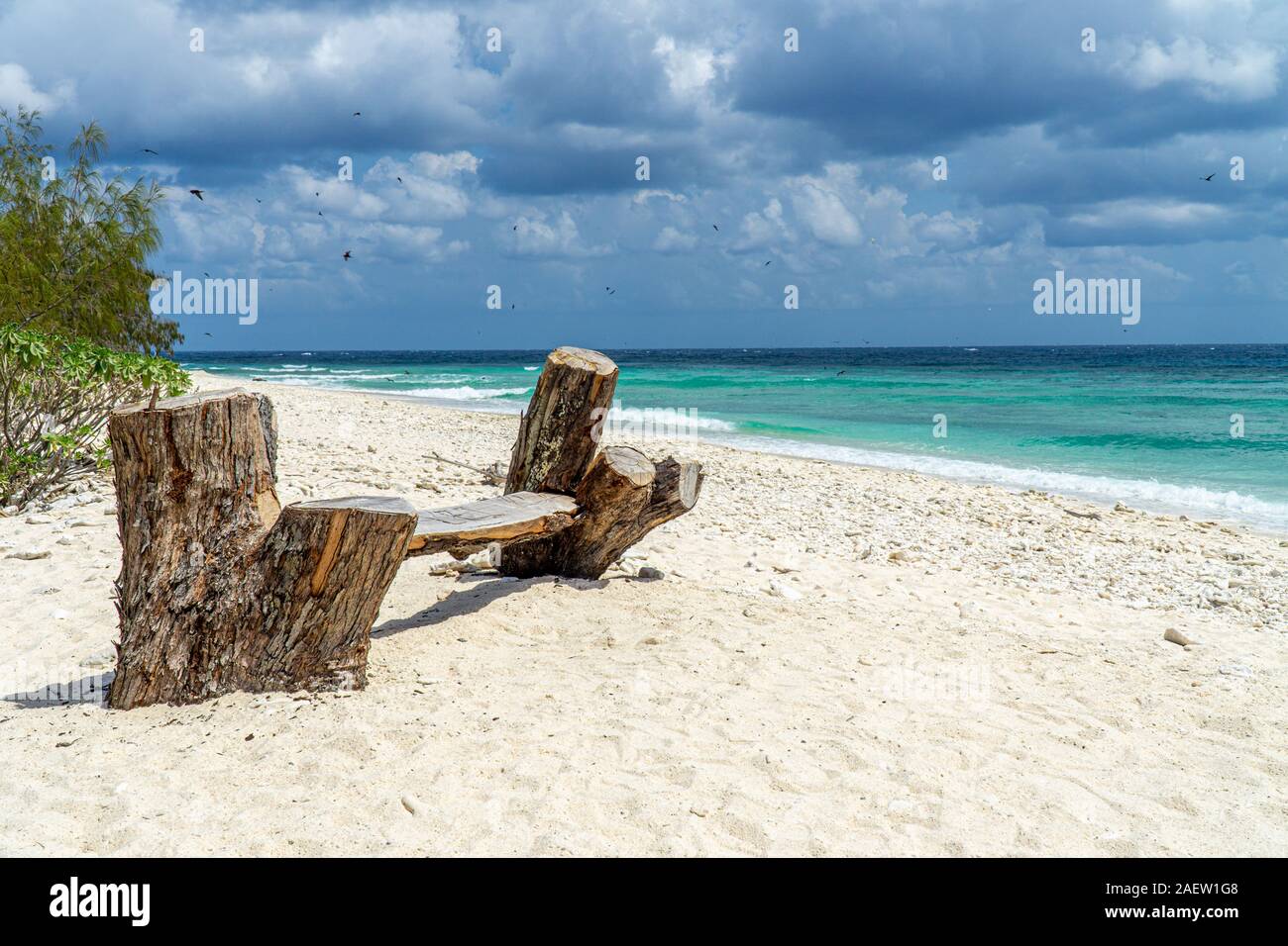 Lady Elliot Island shoreline Great Barrier Reef, Australien Stockfoto