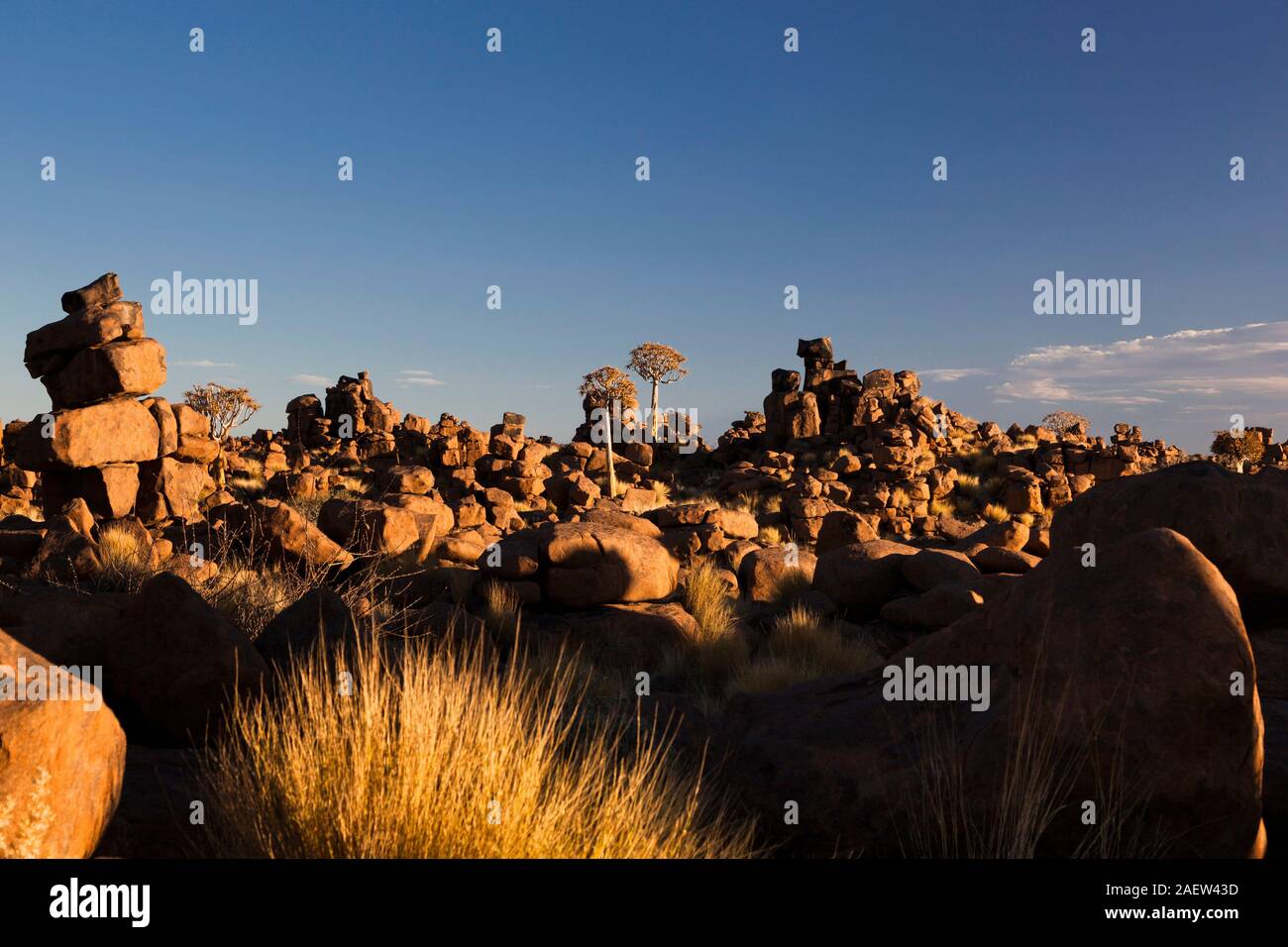 Felsiger Boden am „Gaiant Play Ground“, Quiver Trees, Evening Glow, Aloe Dichotoma, Keetmanshoop, Karas Region, Namibia, Südafrika, Afrika Stockfoto