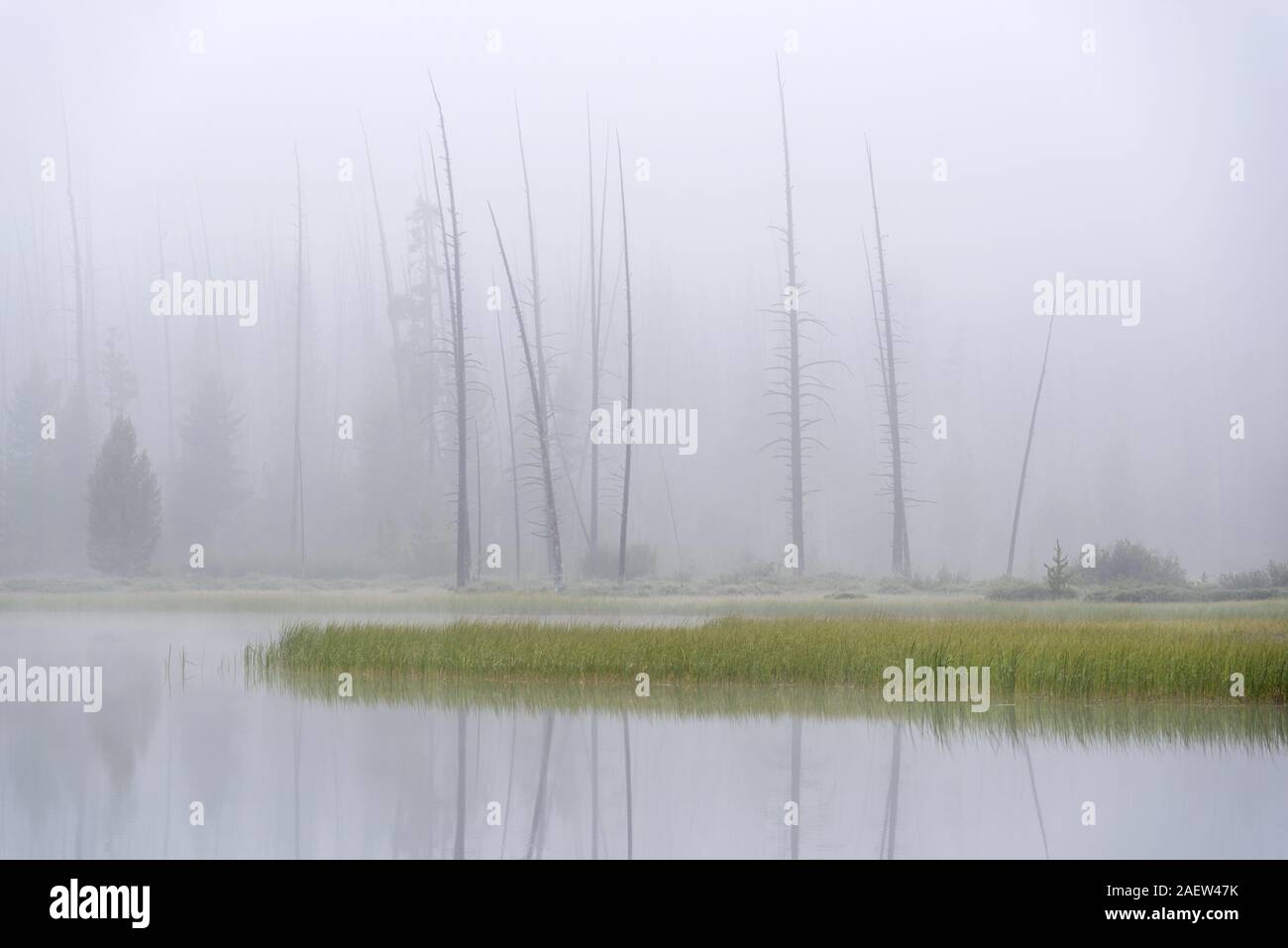 Morgennebel, McDonald Lake, Idaho. Stockfoto