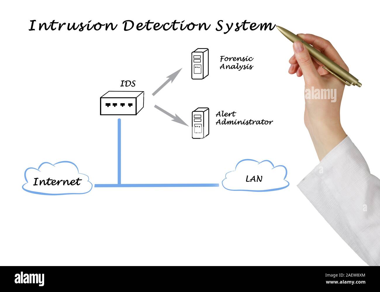Diagramm der Intrusion Detection System Stockfoto