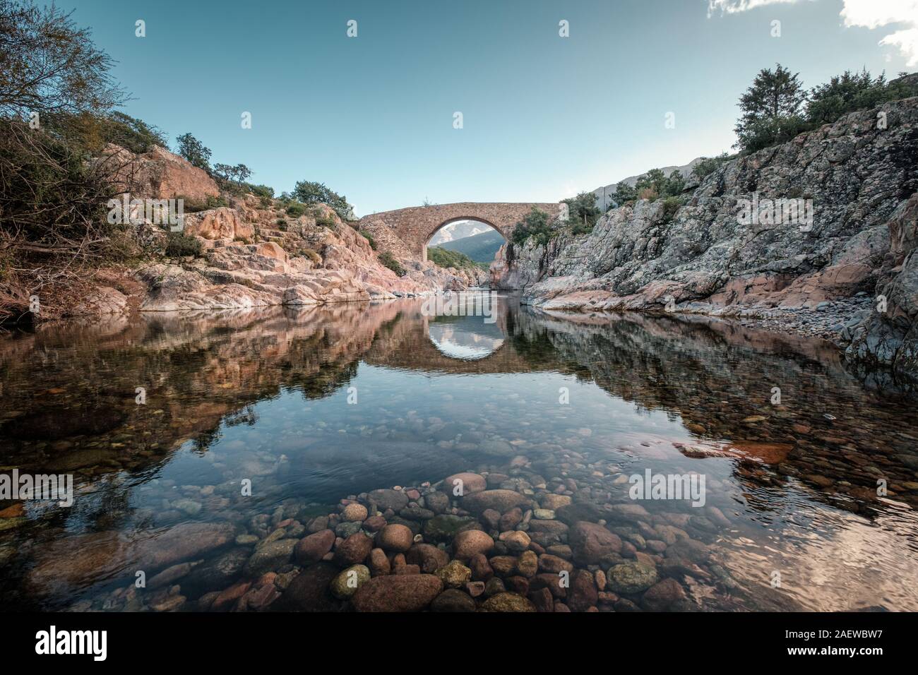 Alte Steinbrücke von Ponte Vecchiu Genueser Brücke über den kristallklaren Fango Fluss in Korsika Stockfoto