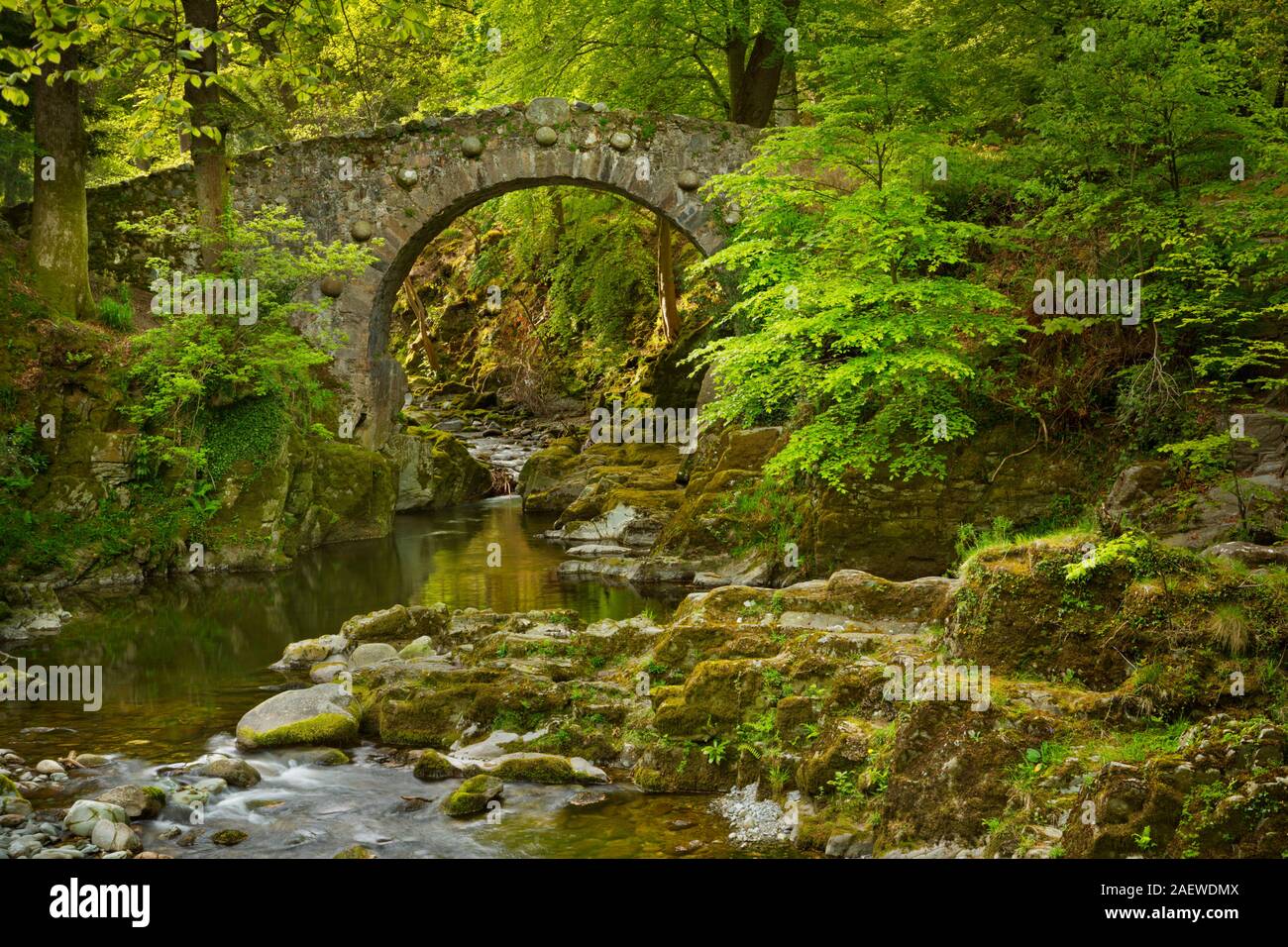 Foleys Brücke über den Shimna River in Tollymore Waldpark, Nordirland. Stockfoto