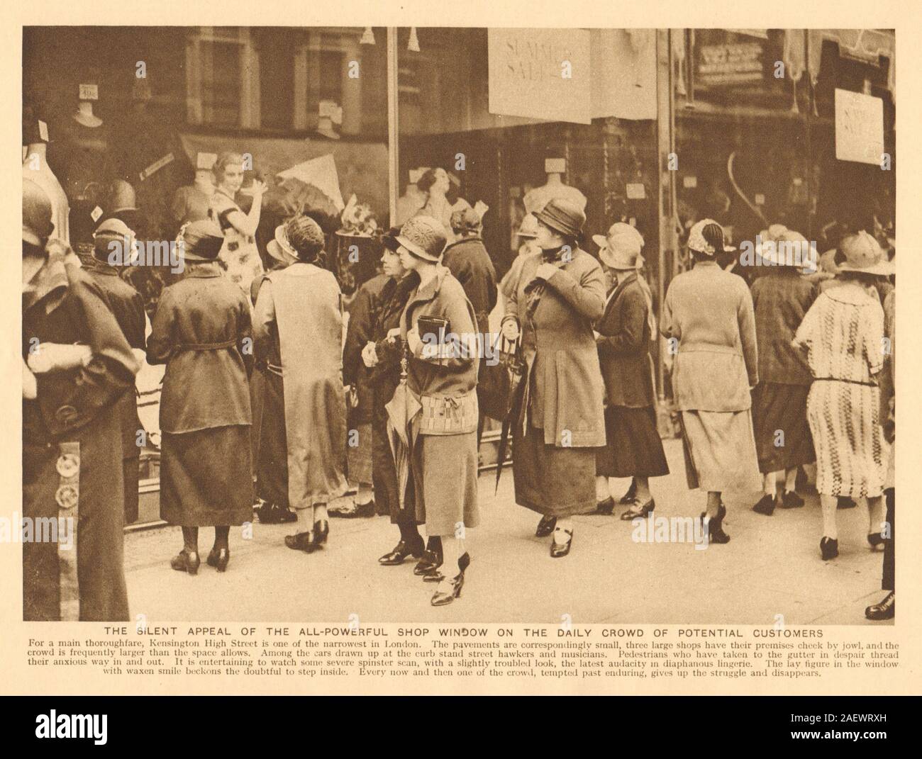 High Street Kensington Fenster anzeigen. Menge potenzieller Kunden 1926 Drucken Stockfoto