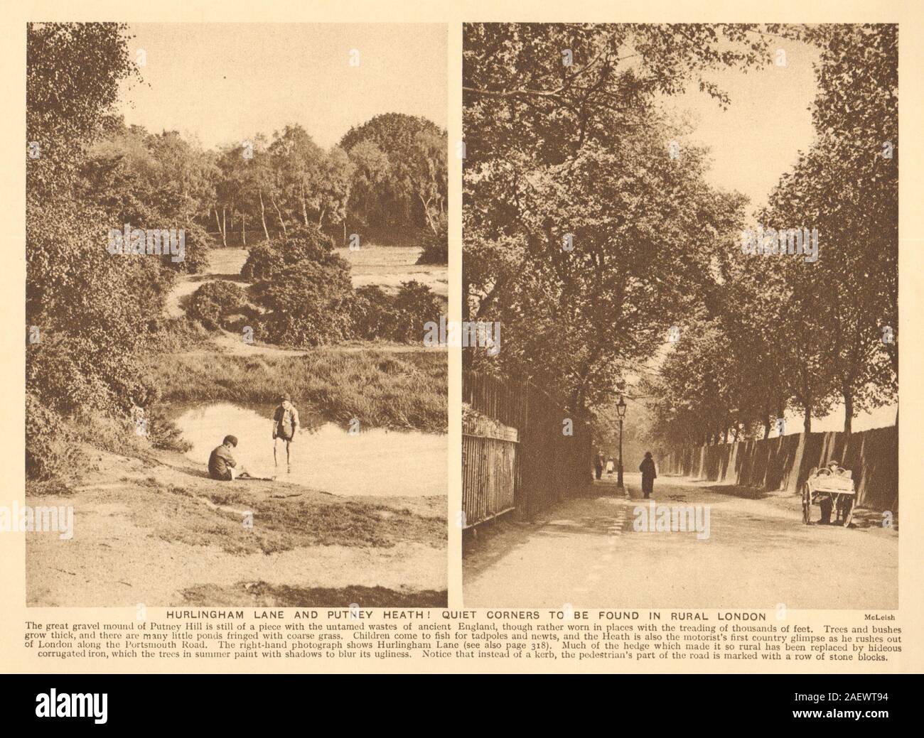 Putney Heide. Hurlingham Lane; Stein Blöcke anstelle von bändigen. Ländliche London 1926 Stockfoto