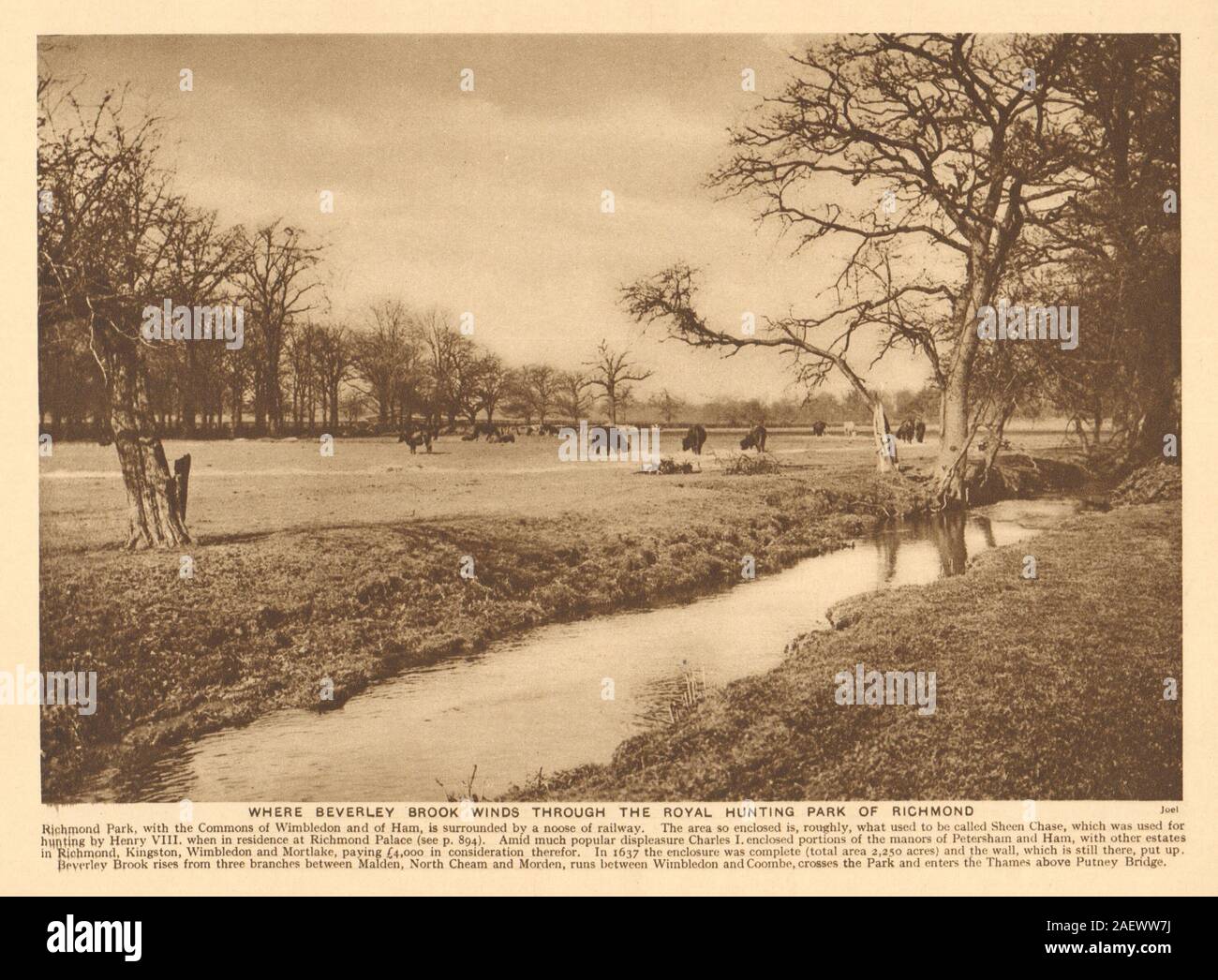 Beverley Bach schlängelt sich durch die königliche Jagd Park von Richmond Drucken 1926 Stockfoto