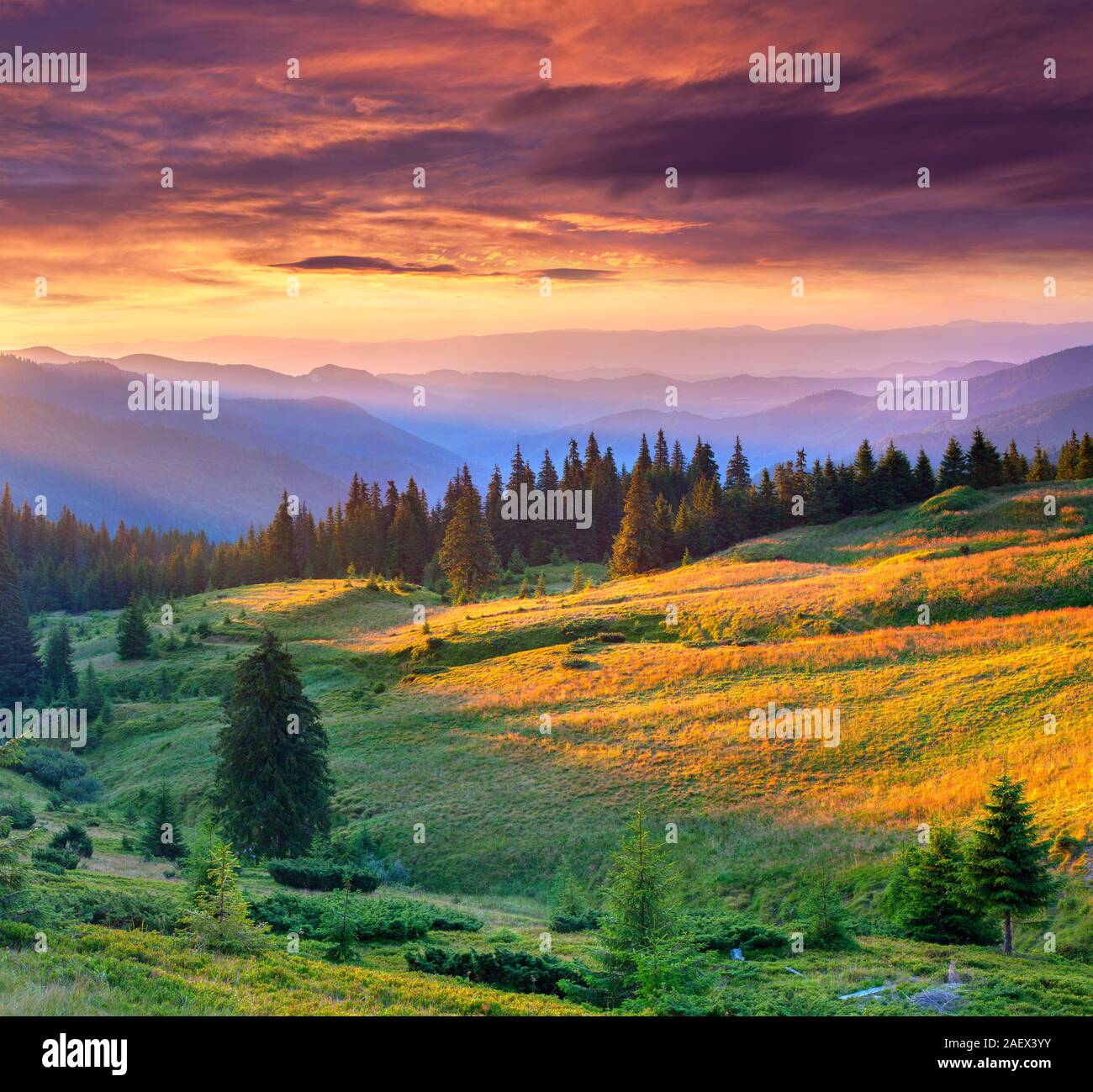 Schönen Sommer Landschaft in den Bergen. Dramatischer Sonnenuntergang. Stockfoto