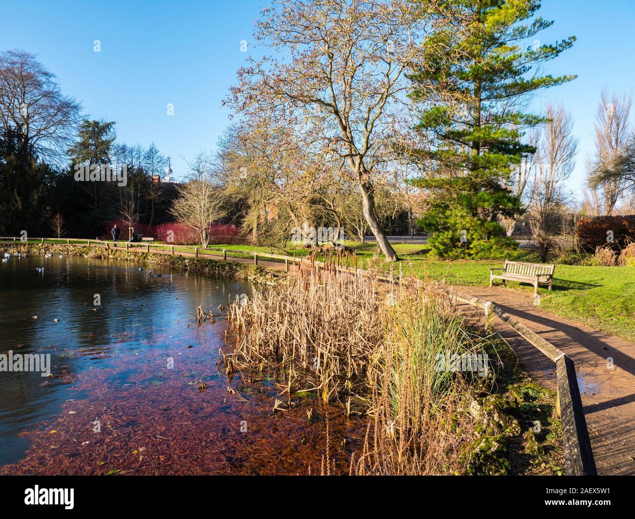 Lazenbee's Boden, im Winter, Universität Parks, Oxford, Oxfordshire, England, UK, GB. Stockfoto