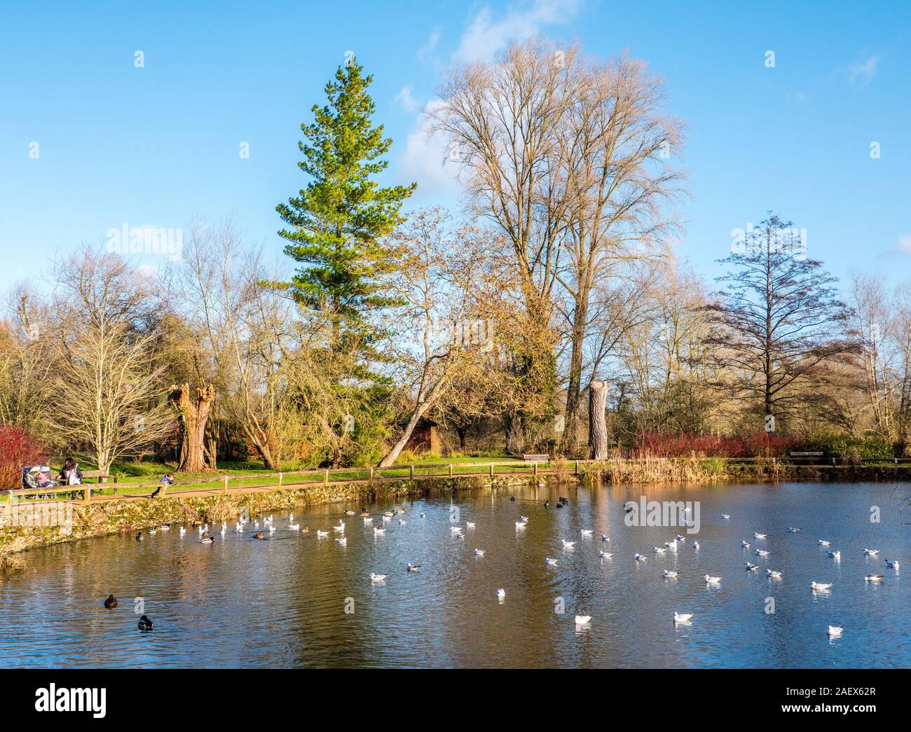 Lazenbee's Boden, im Winter, Universität Parks, Oxford, Oxfordshire, England, UK, GB. Stockfoto