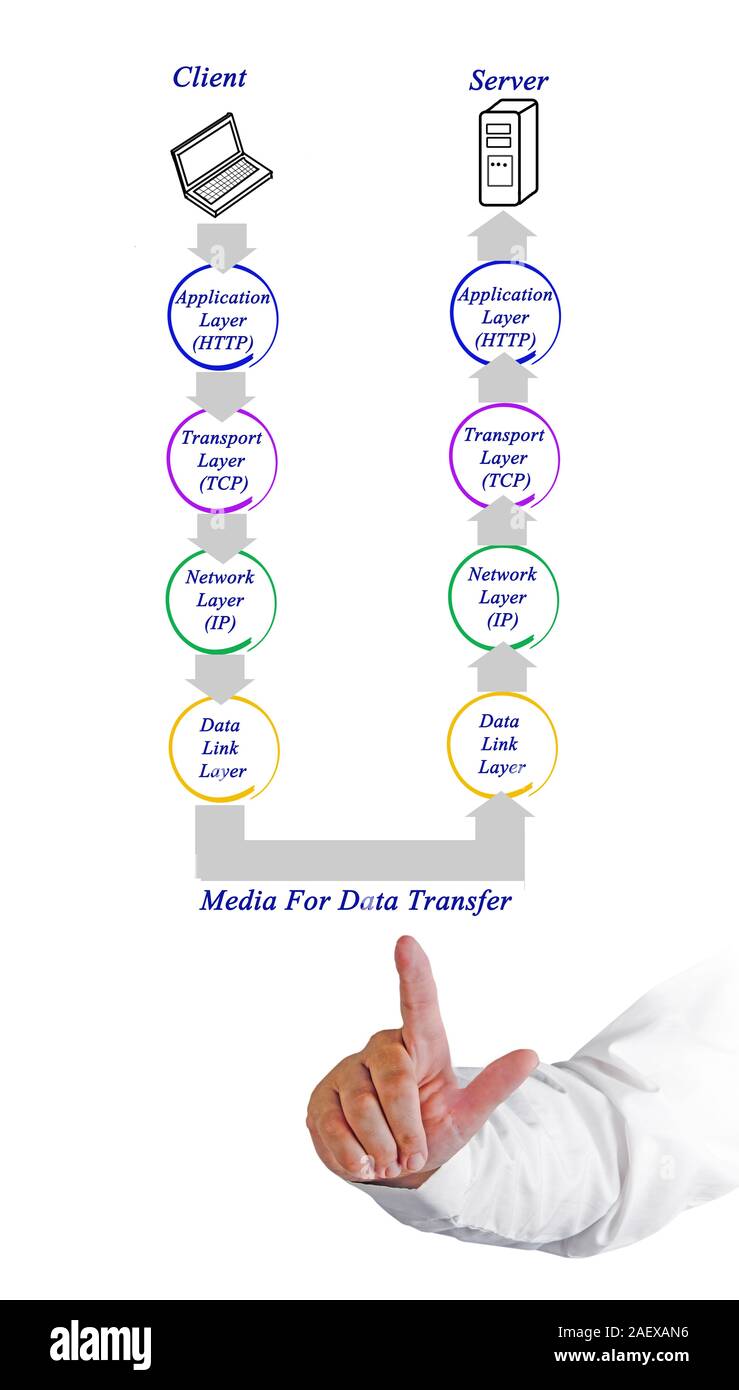 Diagramm der Internet Protocol Stockfoto