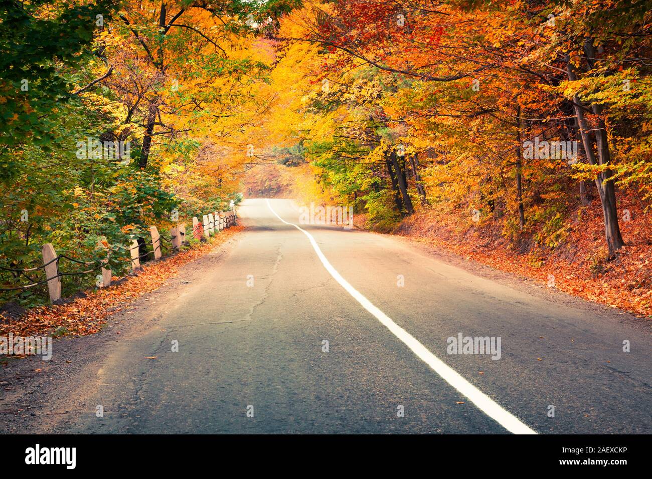 Bunte Herbst Szene im Bergwald. Schönen Morgen in Karpaten, Ukraine, Europa. Travel Concept Hintergrund. Stockfoto