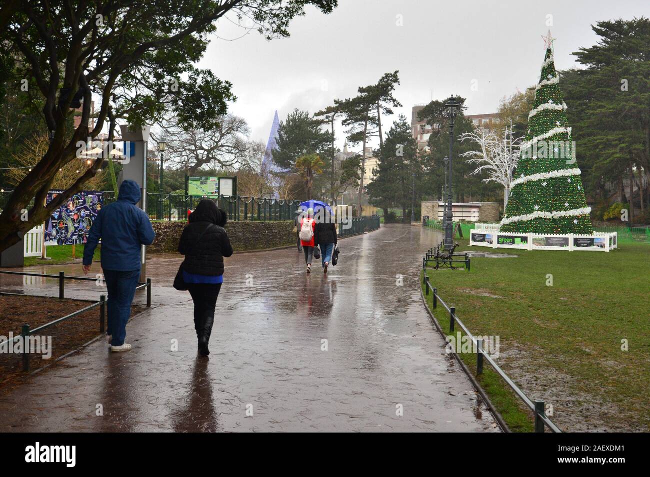 Im Winter Bournemouth, Dorset, UK, Dezember 2019. Bei kaltem Wetter mit starkem Regen. Menschen zu Fuß durch die untere Gärten und einem nassen Weihnachtsbaum Wunderland Stockfoto