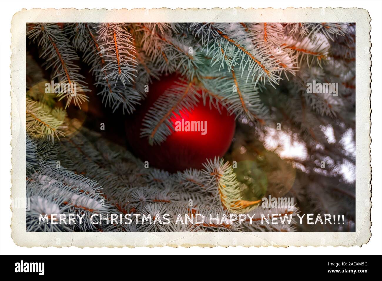 Einzigartige Kunst digitale Frohe Weihnachten und guten Rutsch ins neue Jahr Postkarte von Schönes Foto von einem Weihnachten Baum im Schnee und eine rote Kugel konzipiert. Stockfoto