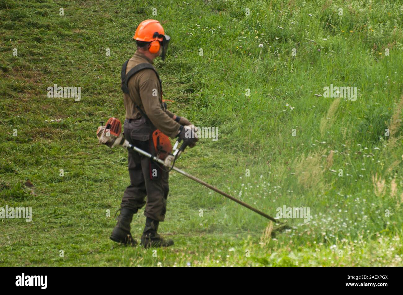 Arbeitnehmer mit Hilfe einer hand Gras - statt mechanische Trimmer Stockfoto