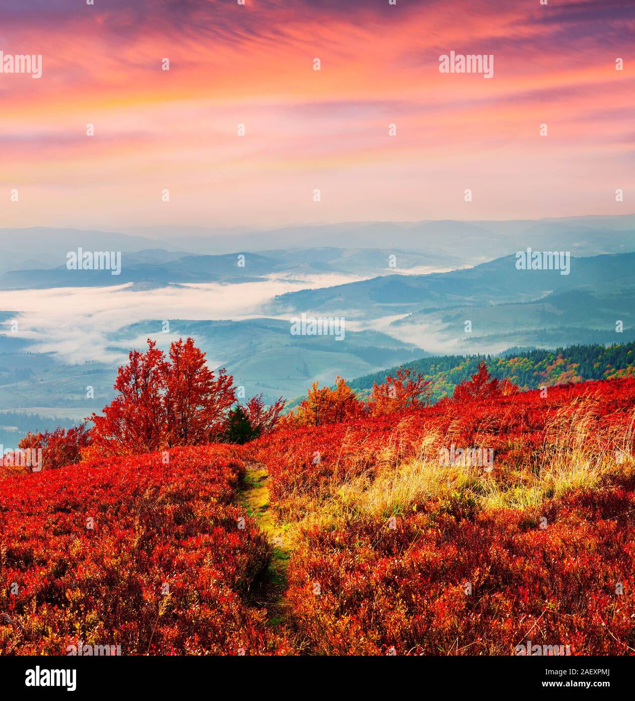 Fantastische Farben Herbst Landschaft in den Karpaten. Herrlichen Sonnenaufgang in den Bergen, in der Ukraine, in Europa. Künstlerischen Stil nachbearbeitete Foto. Stockfoto