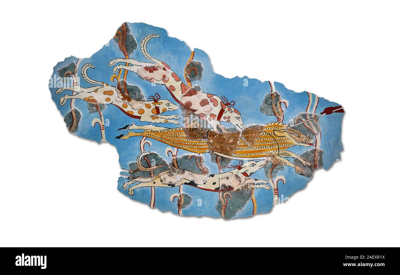 Mykenische Fresken Wandgemälde von einem Wildschwein Jagd von Tiryns, Griechenland. 14. - 13. Jahrhundert v. Chr.. Athens Archäologischen Museum. Weißer Hintergrund. Stockfoto