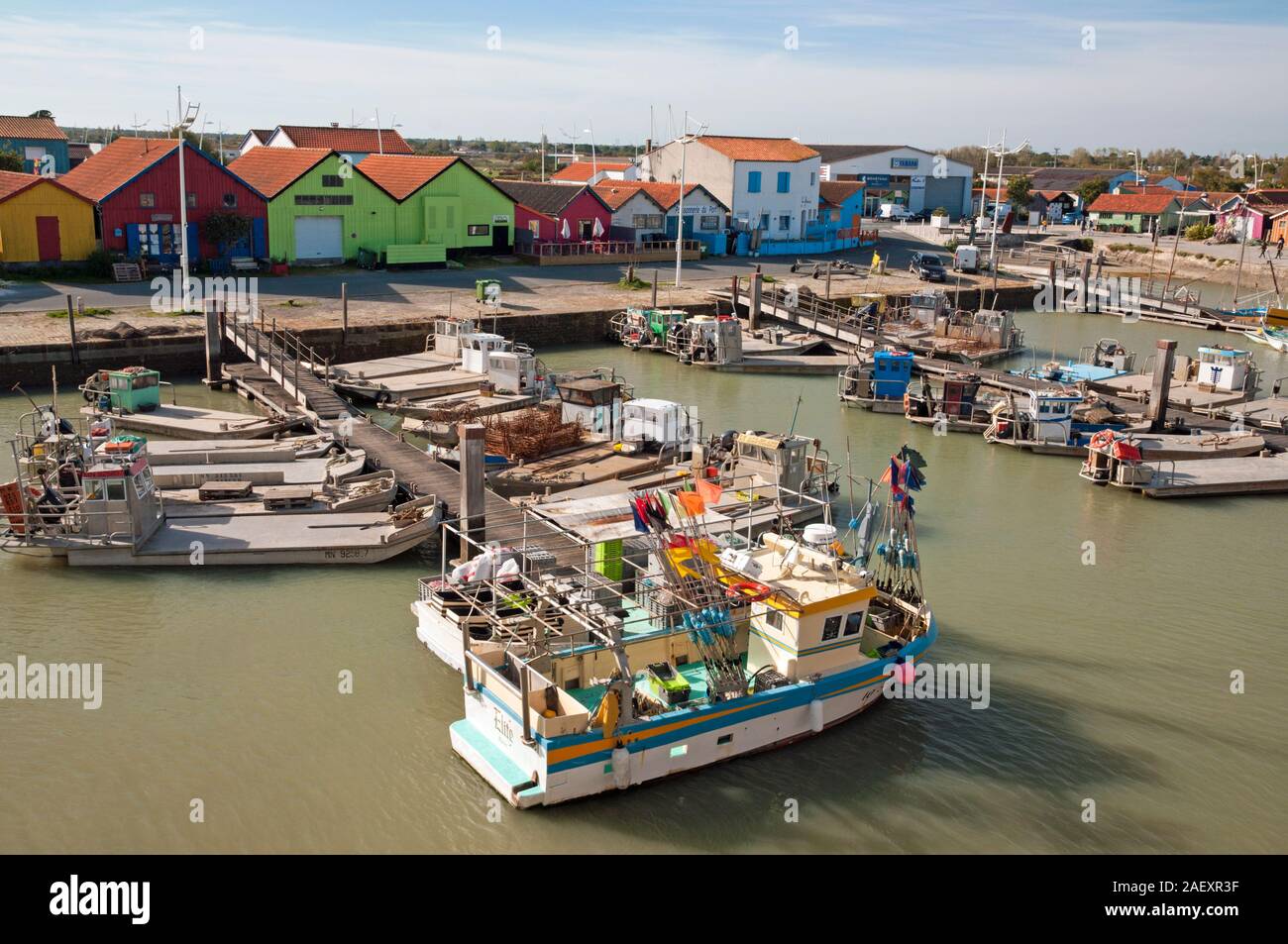 Fischerboote und Hafen, Chateau d'Oleron, Charente-Maritime (17), Nouvelle-Aquitaine Region, Frankreich Stockfoto