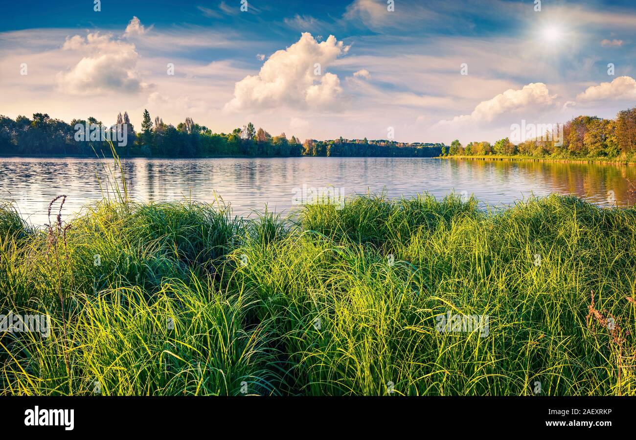 Farbenfrohe Sommer am frühen Morgen auf dem Fischteich. Warme Farbe Muskelaufbau. Stockfoto