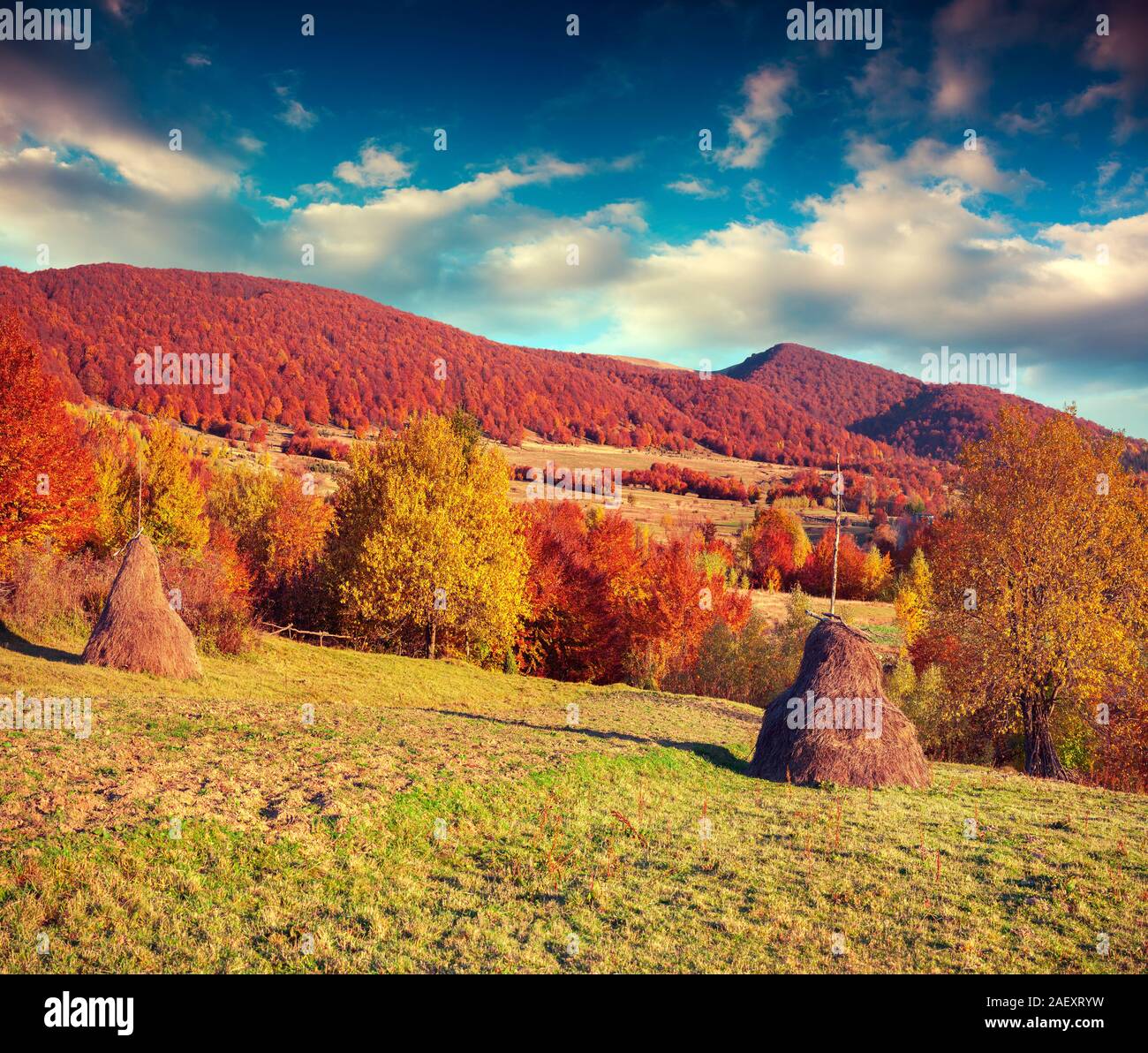 Farbenprächtige Herbstlandschaft in den Karpaten Bergdorf. Transkarpatien, Ukraine, Europa. Stockfoto