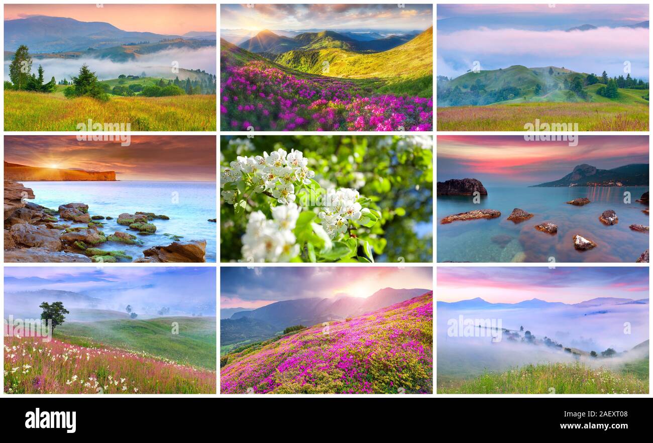 Collage mit 9 bunten Sommer Landschaften. Stockfoto