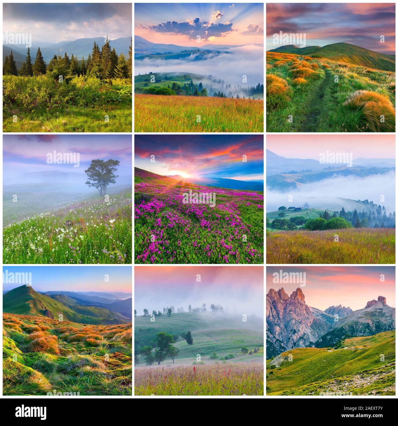 Collage mit 9 quadratischen Sommer Landschaften. Stockfoto