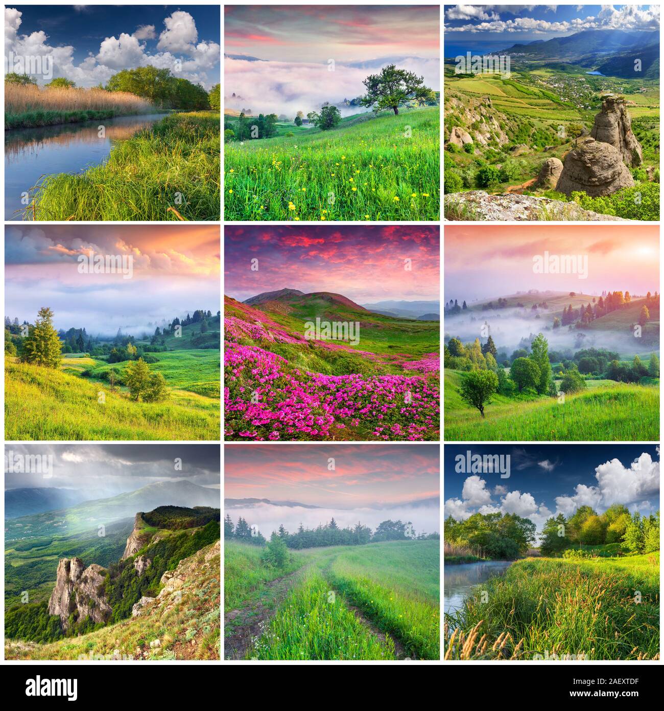 Collage mit 9 quadratischen Sommer Landschaften. Stockfoto