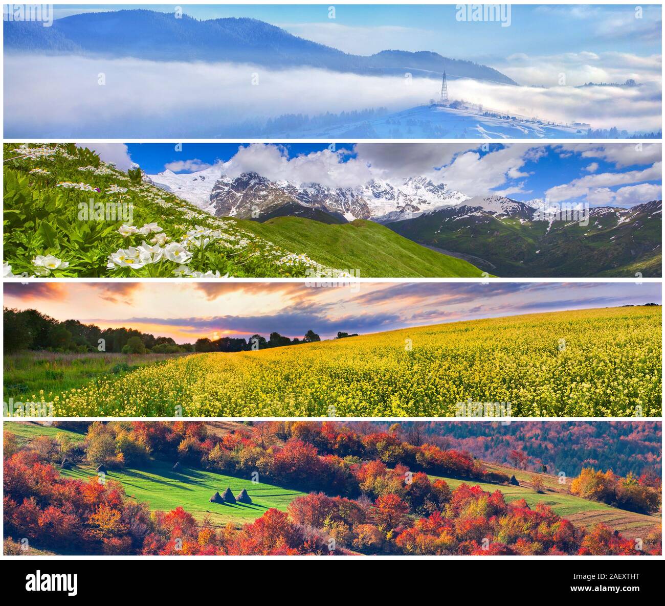 Einstellen der 4 Jahreszeiten Landschaft für Banner Stockfoto