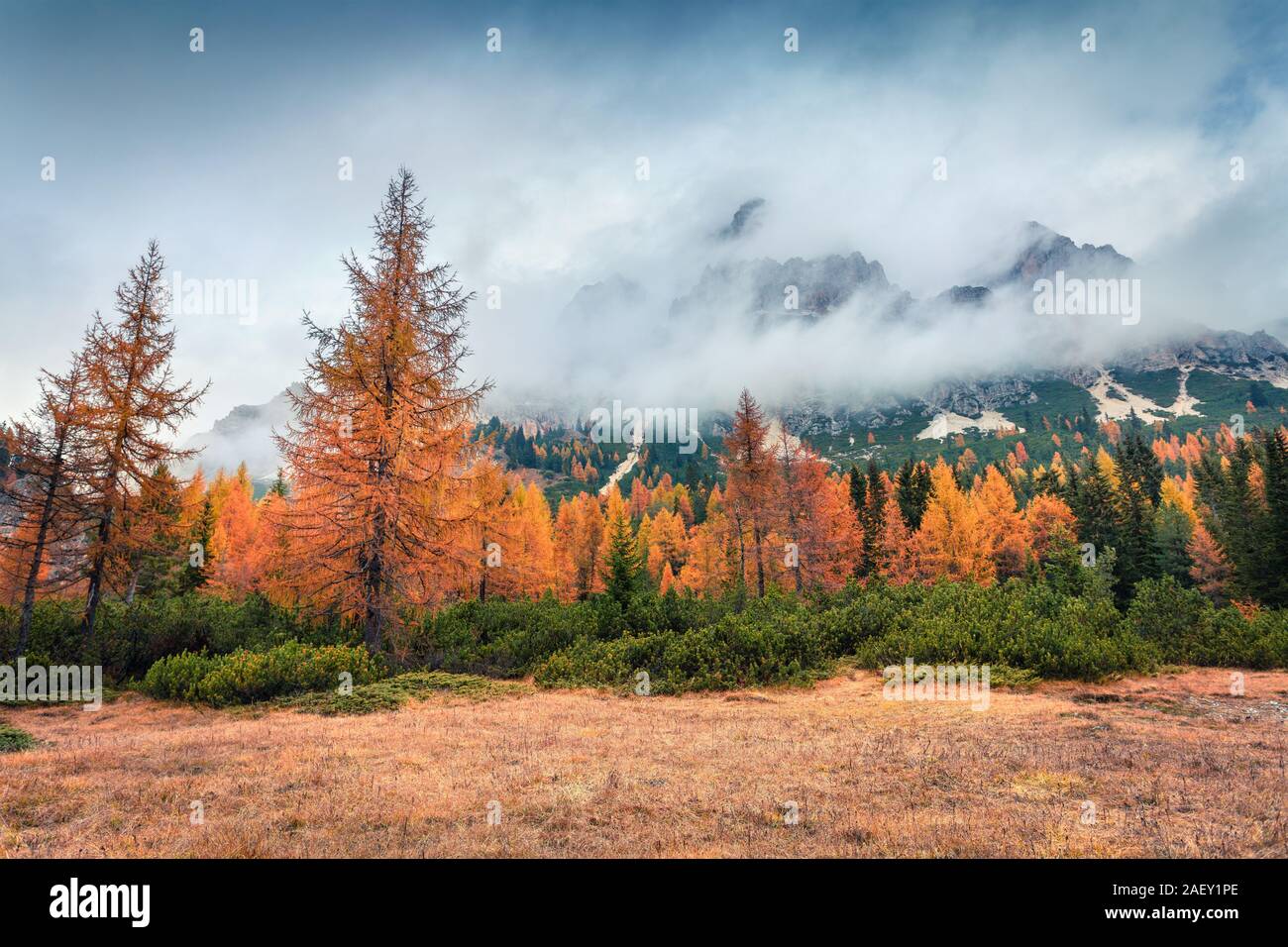 Foggy outdoor Szene mit Cristallo mount für den Hintergrund. Farbenprächtige Herbstlandschaft in Dolomiten, Cortina d'Ampezzo, Italien, Europa. Stockfoto