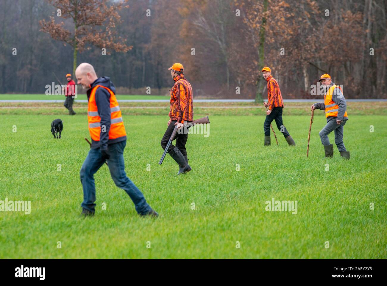 REUTUM, Niederlande - 07 Dez, 2019: Männer mit Schrotflinte und Sticks sind zu Fuß auf einer Linie in einem offenen Feld Jagd auf Hasen en Fasane. Stockfoto