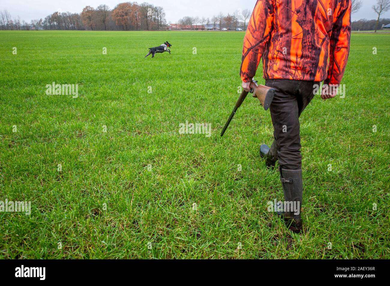 Männer mit einer Schrotflinte in einem offenen Feld Jagd auf Hasen en Fasane. Stockfoto