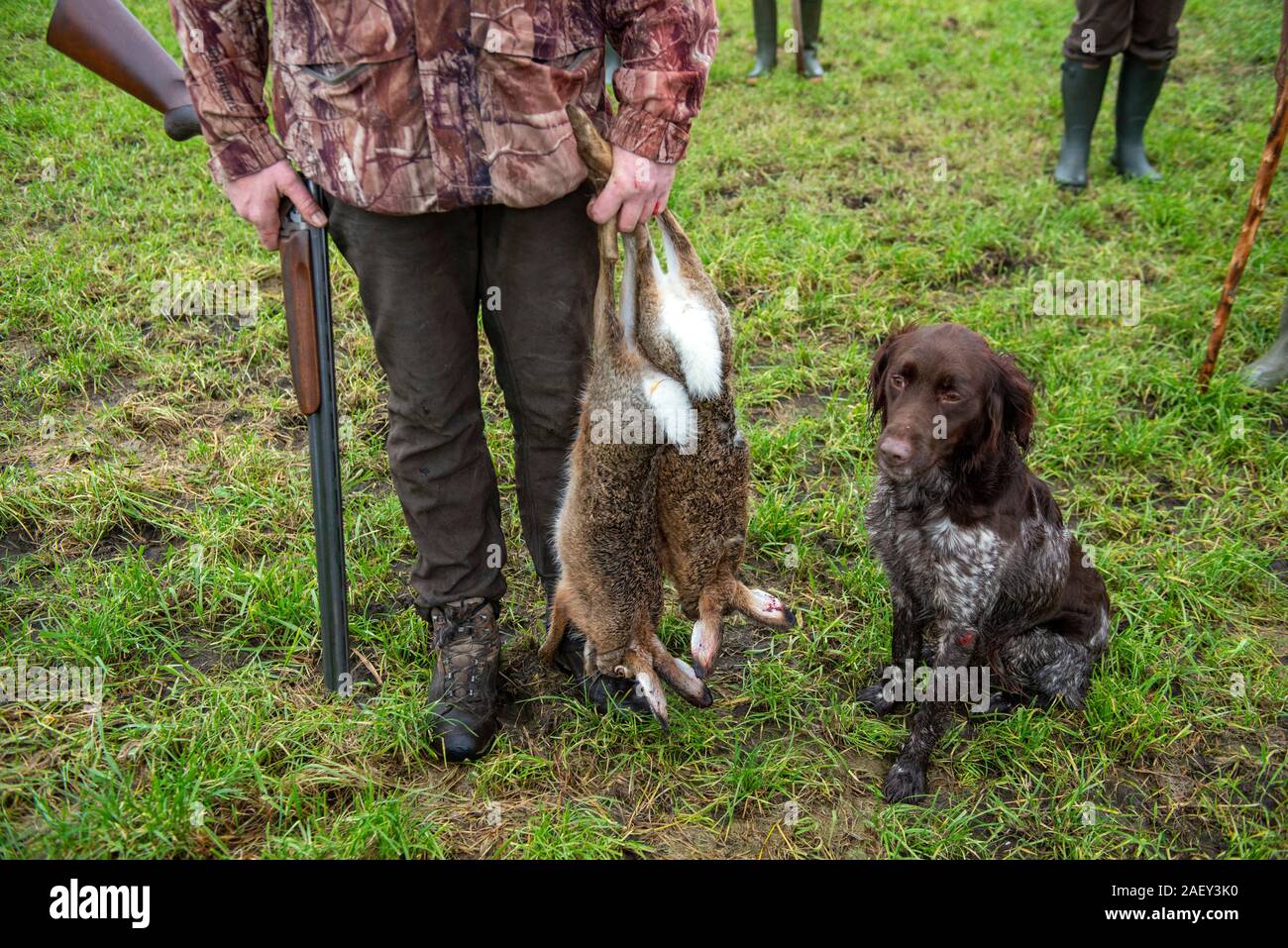 Ein Jäger mit seinem Hund und zwei tote Hasen, die gerade von ihm geschossen wurde. Stockfoto