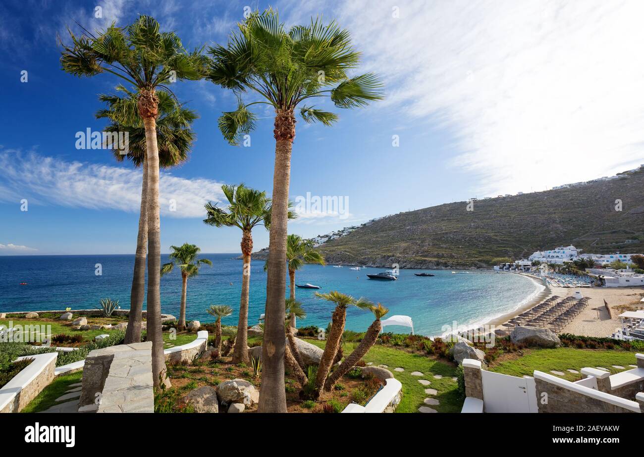 Panorama in Mykonos, Kykladen, Griechenland. Palmen im Vordergrund. Stockfoto