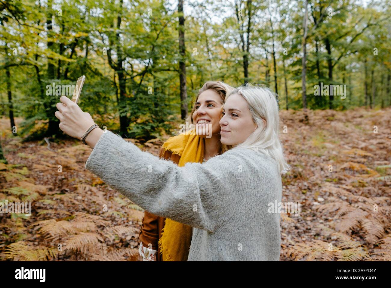Zwei blondie Frauen, die ein selfie in einem herbstlichen Wald Stockfoto