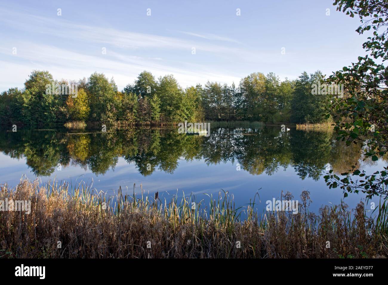 Norden Höhle Feuchtgebiete im Herbst die Karpfen See Stockfoto