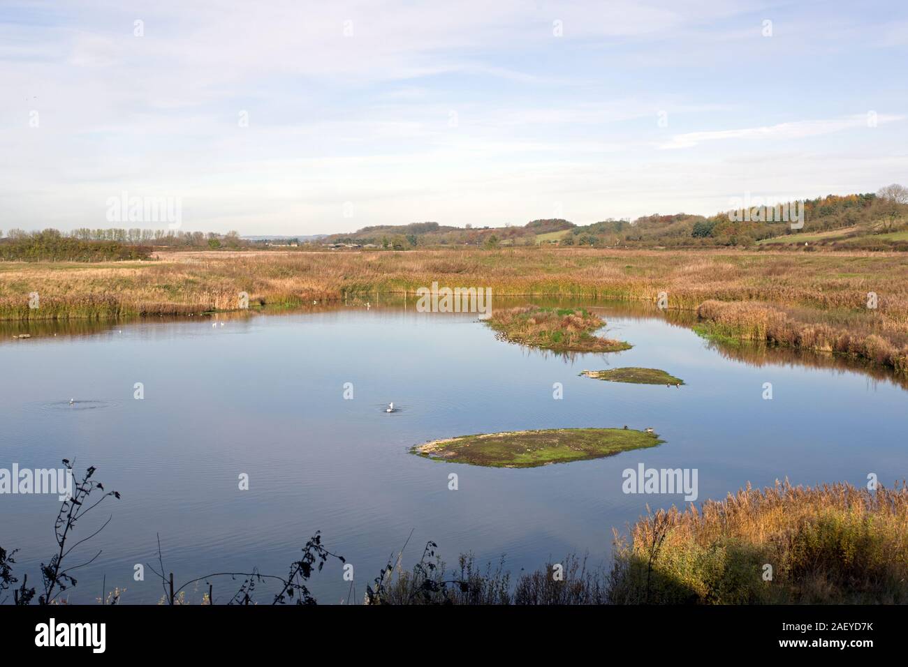 Norden Höhle Feuchtgebiete der Insel See im Herbst Stockfoto