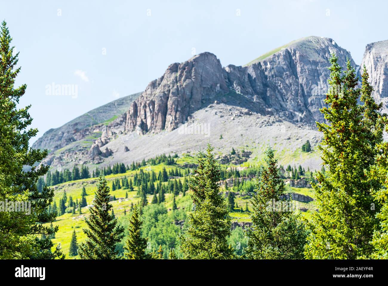 Grünen Pinienwald Bäume Sommer Blick vom Colorado million Dollar highway Scenic Road 550 San Juan Rocky Mountains in der Nähe von Silverton Stockfoto