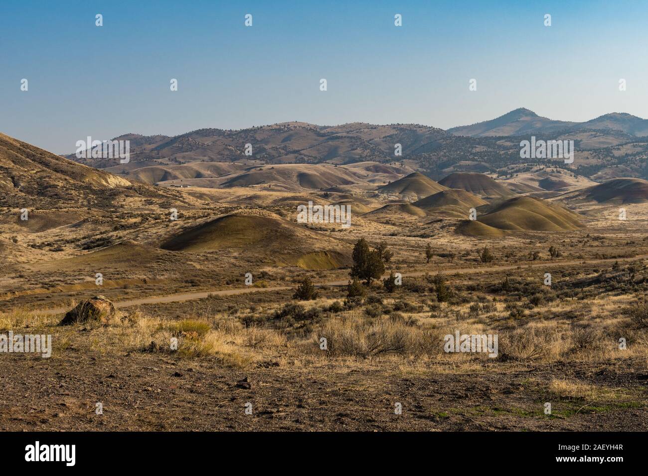 Blick auf die ariden und bunte Landschaft von Painted Hills Stockfoto