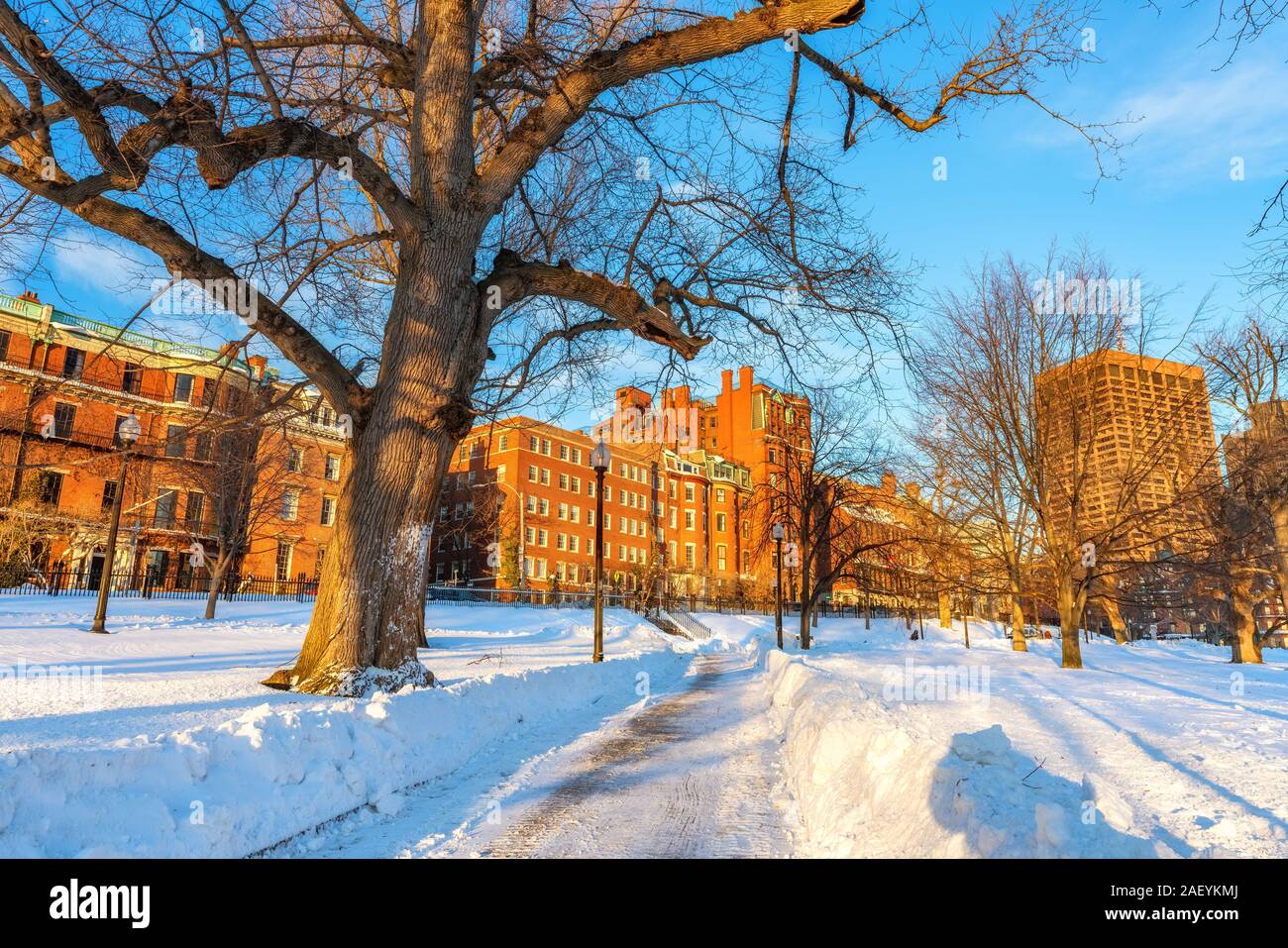 Boston Common im Winter Stockfoto