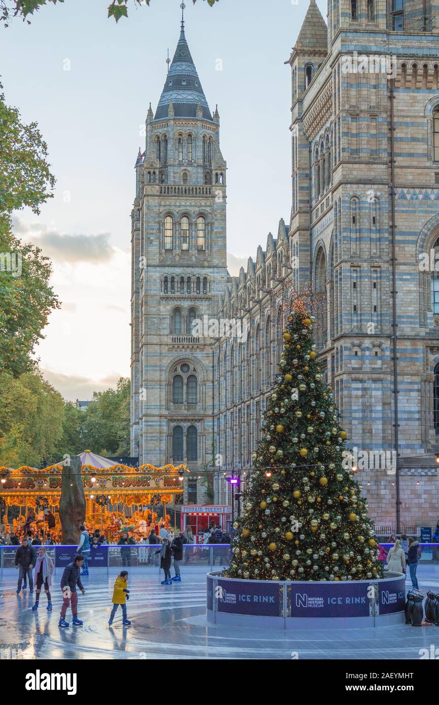 Weihnachtsbaum und Eislaufplatz mit unbekannter Skater und Touristen außerhalb des National History Museum in London. Stockfoto