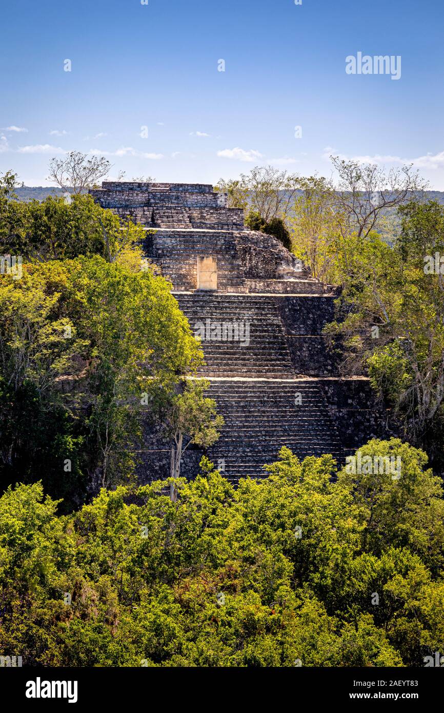 Pyramide versteckt in den Dschungel an Calakmul archäologische Stätte in Campeche, Mexiko. Stockfoto