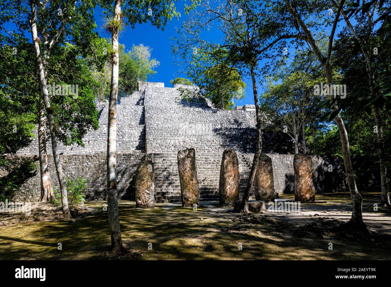 Pyramide (Struktur I) und Stelen an Calakmul archäologische Stätte in Campeche, Mexiko. Stockfoto