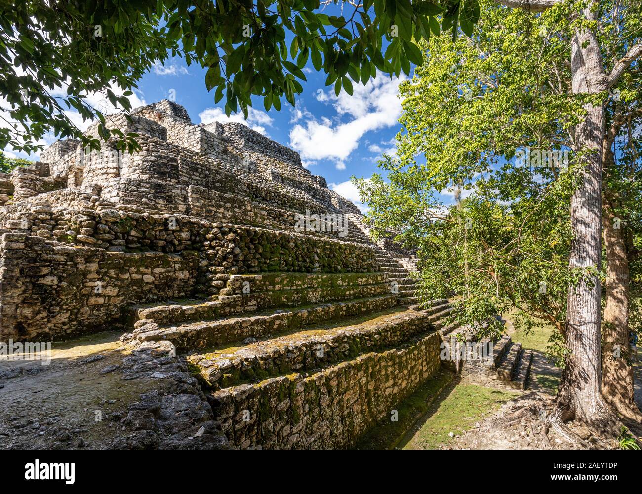 Seitenansicht der Pyramide die Mayaruinen von Chaacchoben in Quintana Roo, Mexiko. Stockfoto