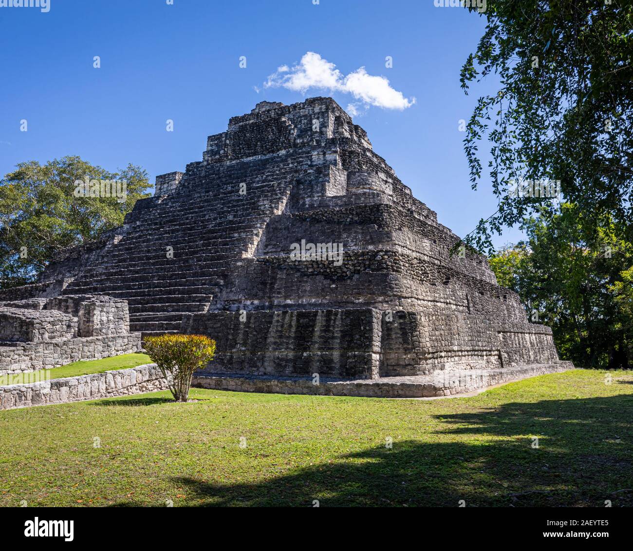 Die Maya-ruinen von Chaacchoben in Quintana Roo, Mexiko. Stockfoto