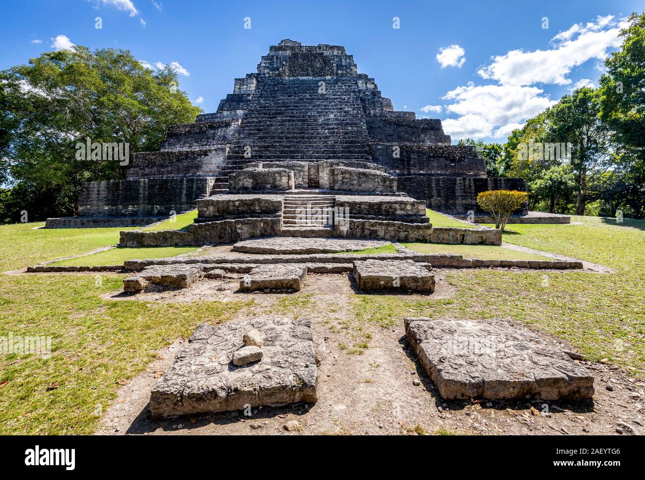 Die Maya-ruinen von Chaacchoben in Quintana Roo, Mexiko. Stockfoto