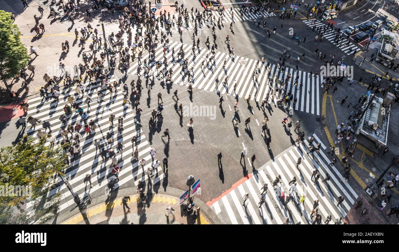 Motion Blur von überfüllten Menschen zu Fuß und Auto Verkehr Transport auf Shibuya scramble Crossing, hohe Blickwinkel betrachten. Tokio Touristenattraktion, Japan Tourismus Stockfoto